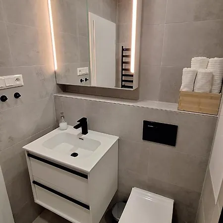 Vajanskeho - Apartment Skalica